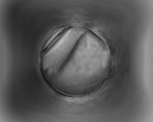 X0000089710005200707121421