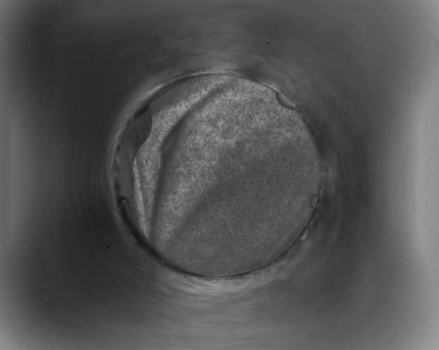 X0000089710006200707121421