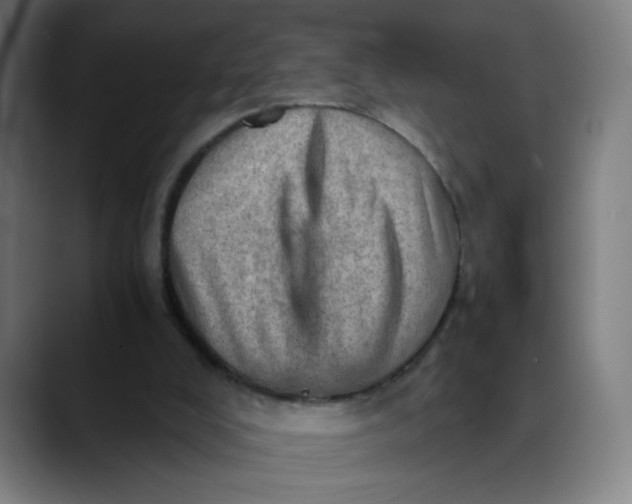 X0000089710008200707121421