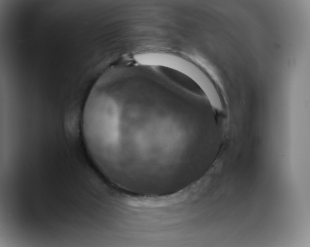 X0000089710009200707121421