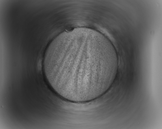 X0000089710010200707121421