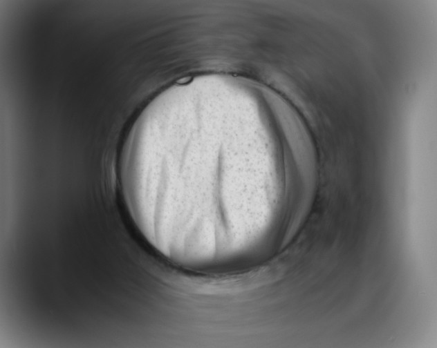 X0000089710011200707121421