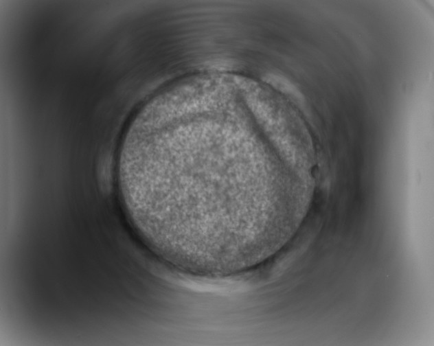 X0000089710012200707121421