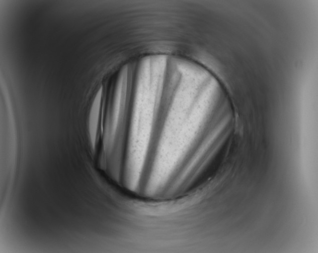 X0000089710013200707121421