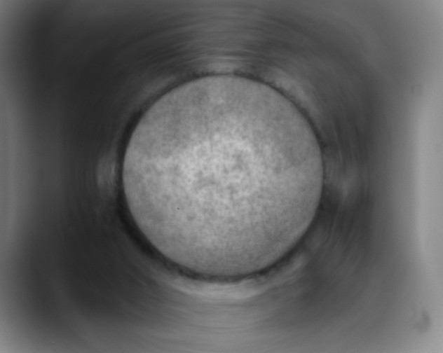 X0000089710016200707121421