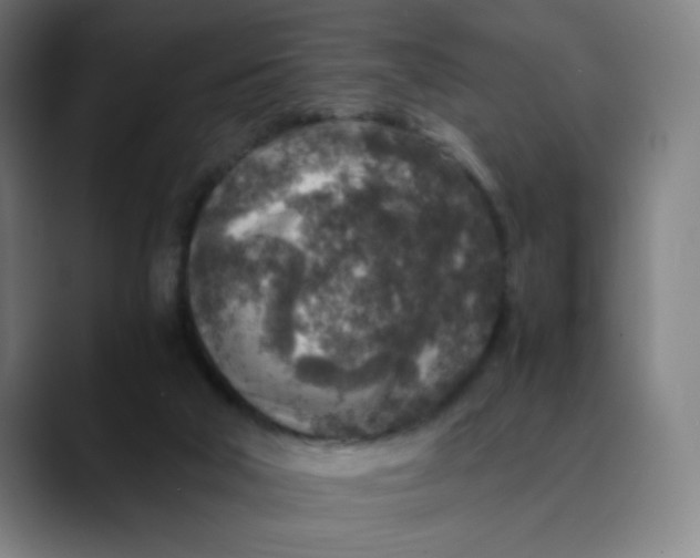 X0000089710018200707121421