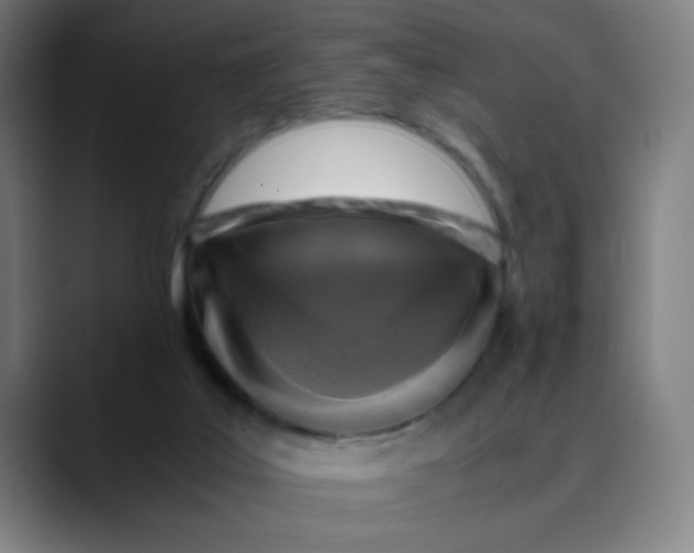 X0000089710019200707121421