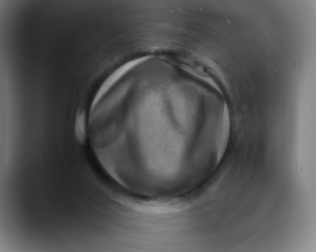 X0000089710020200707121421