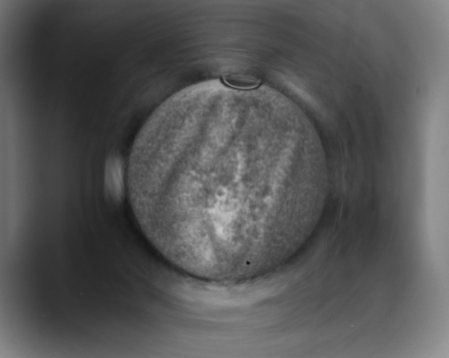 X0000089710022200707121421