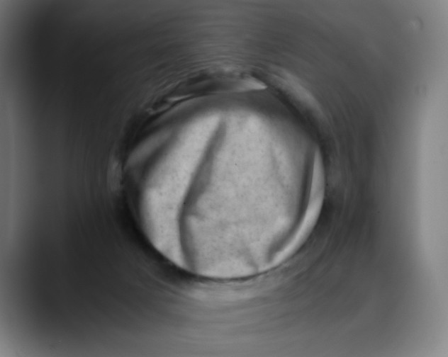 X0000089710025200707121421