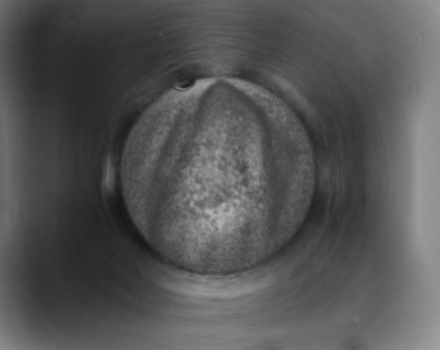 X0000089710026200707121421