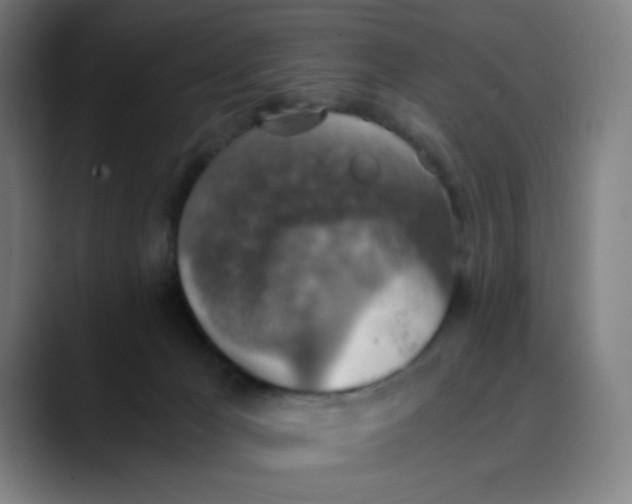 X0000089710029200707121421