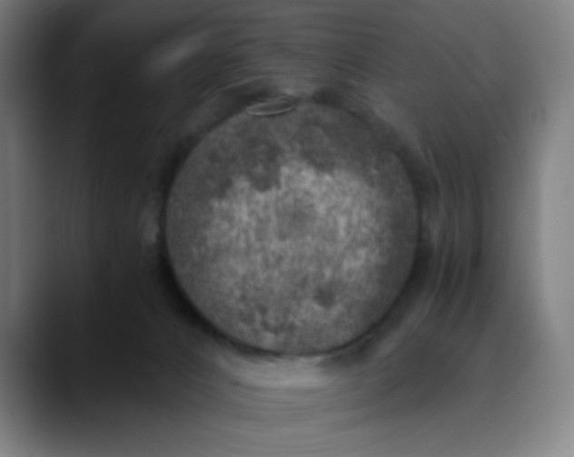 X0000089710032200707121421