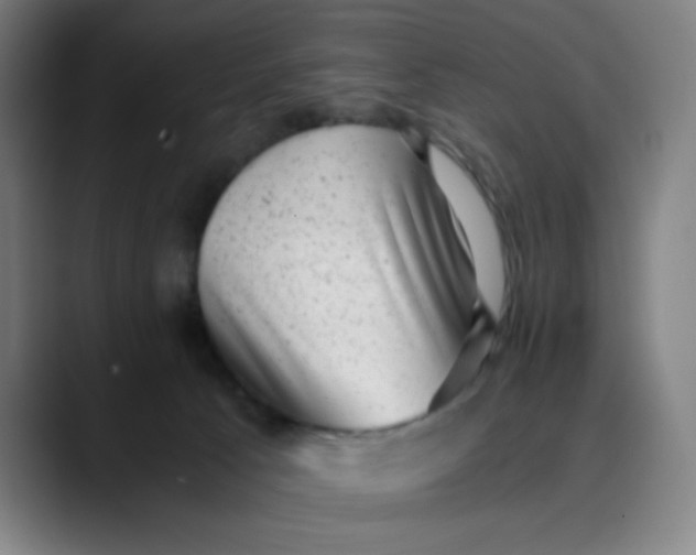 X0000089710033200707121421