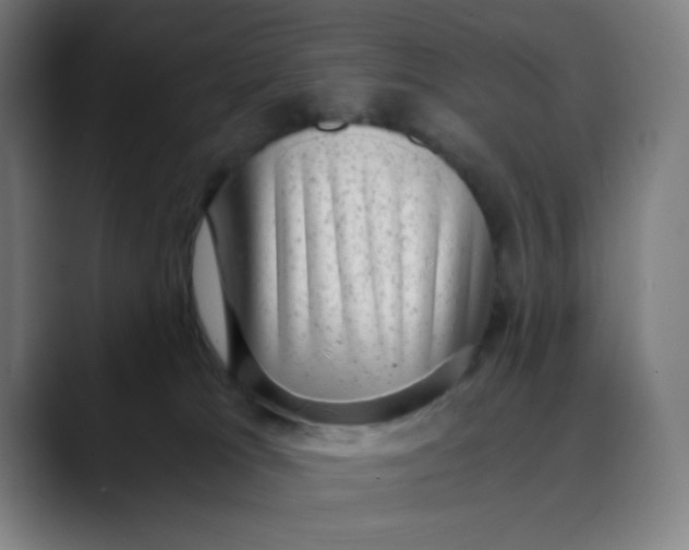 X0000089710037200707121421