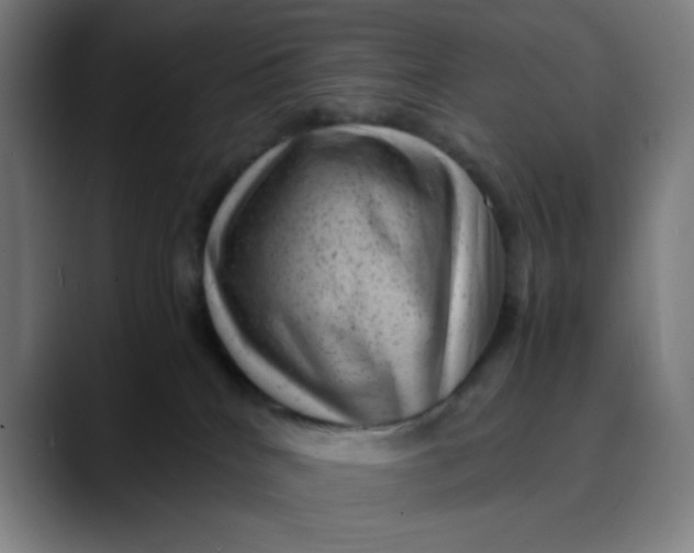 X0000089710040200707121421