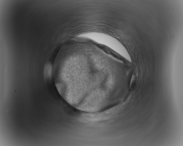 X0000089710041200707121420