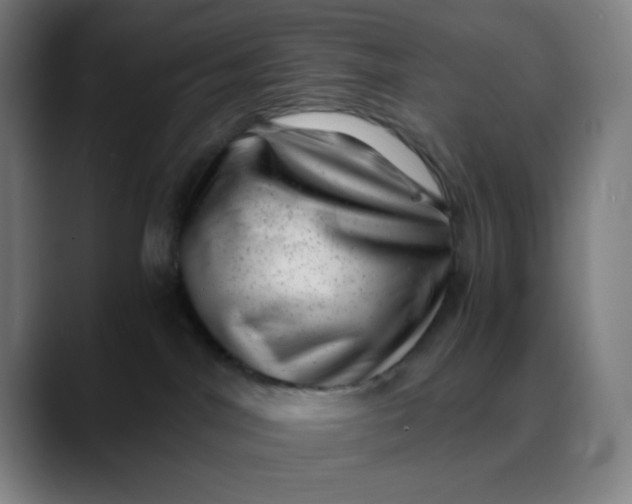 X0000089710044200707121420