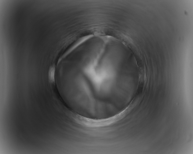 X0000089710047200707121420