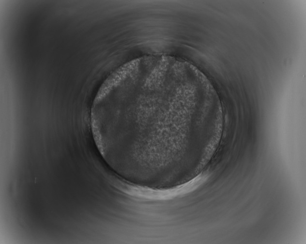 X0000089710048200707121420