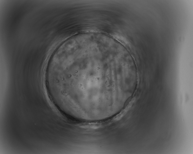 X0000089710049200707121420