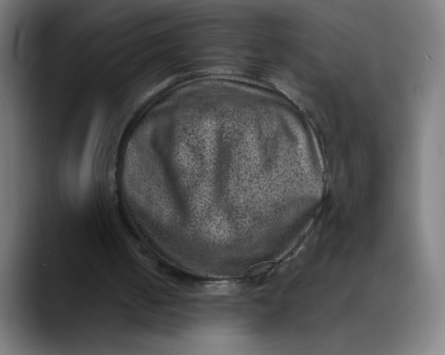 X0000089710050200707121420