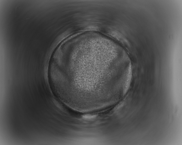 X0000089710051200707121420