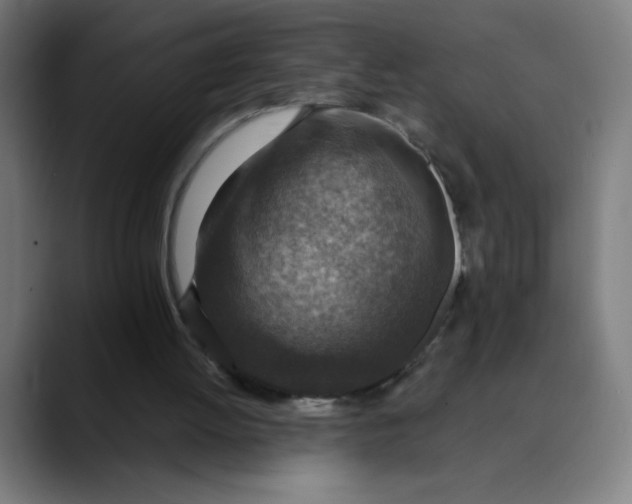 X0000089710052200707121420