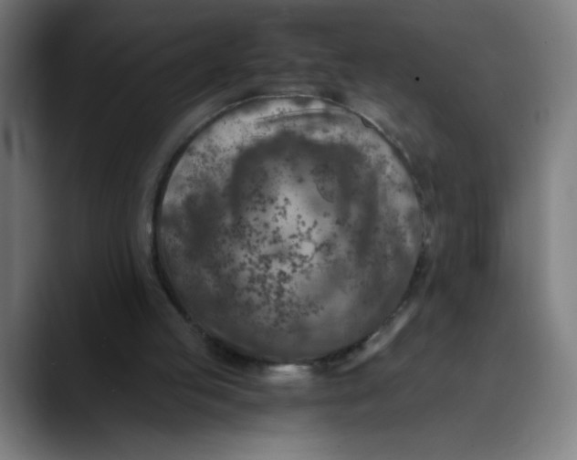 X0000089710053200707121420