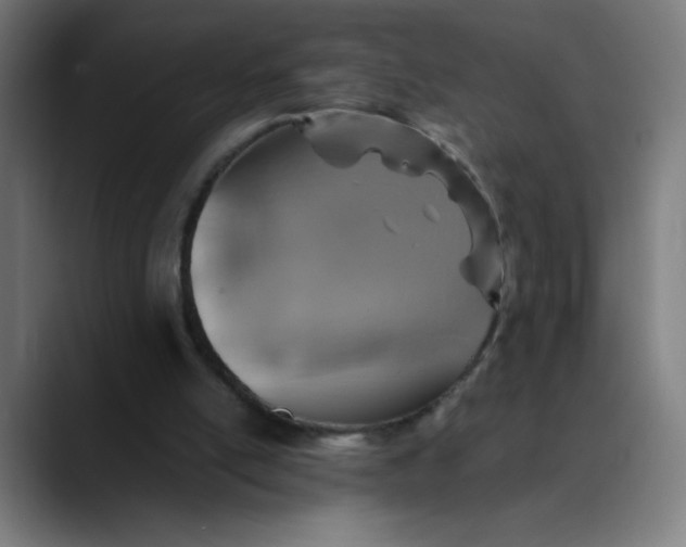 X0000089710054200707121420