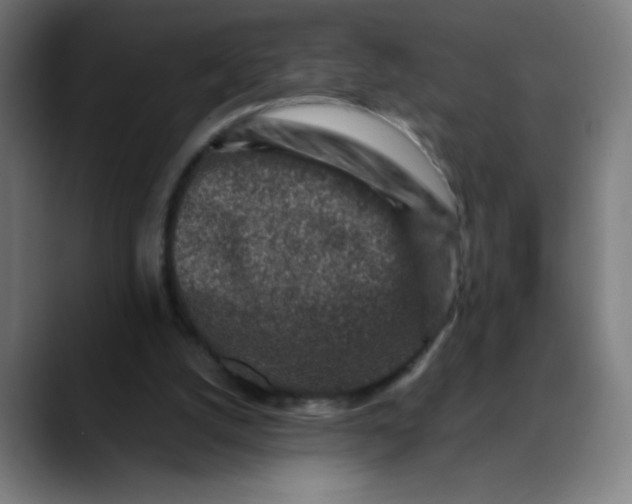 X0000089710056200707121420