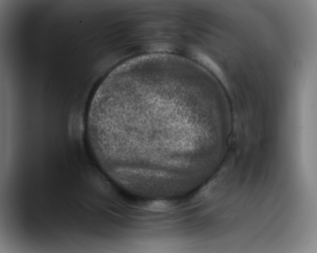 X0000089710059200707121420