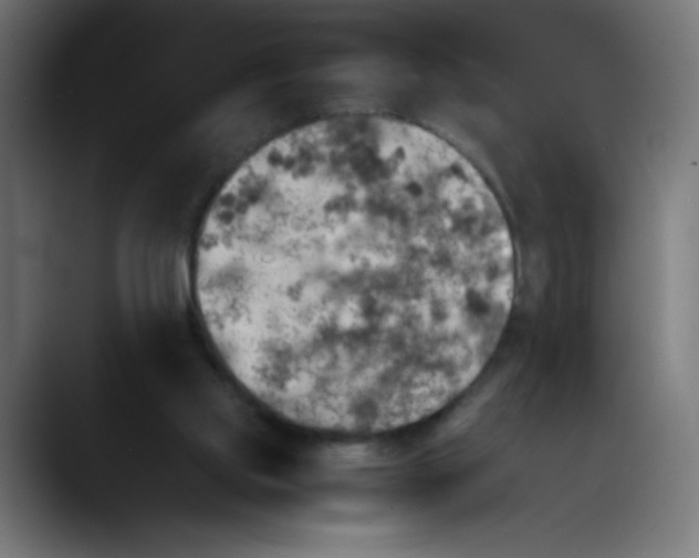 X0000089710061200707121420