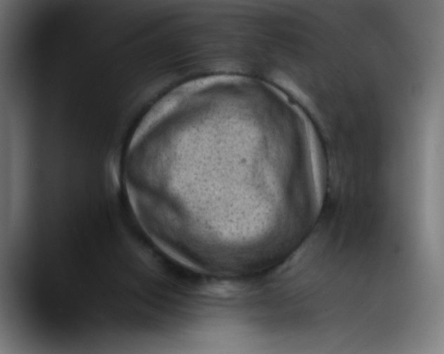 X0000089710062200707121420