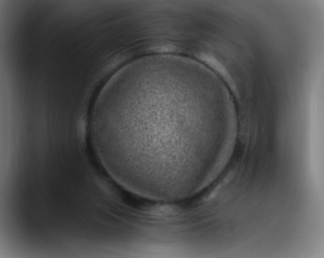 X0000089710063200707121420