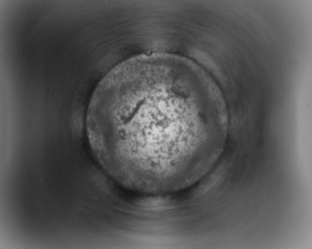 X0000089710065200707121420