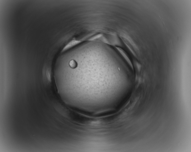 X0000089710068200707121420