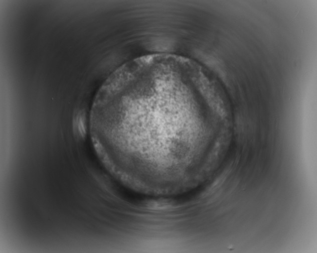 X0000089710069200707121420