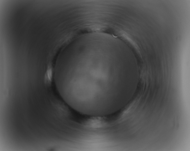 X0000089710076200707121420