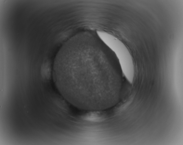 X0000089710080200707121420