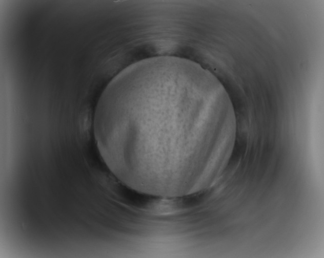 X0000089710082200707121420