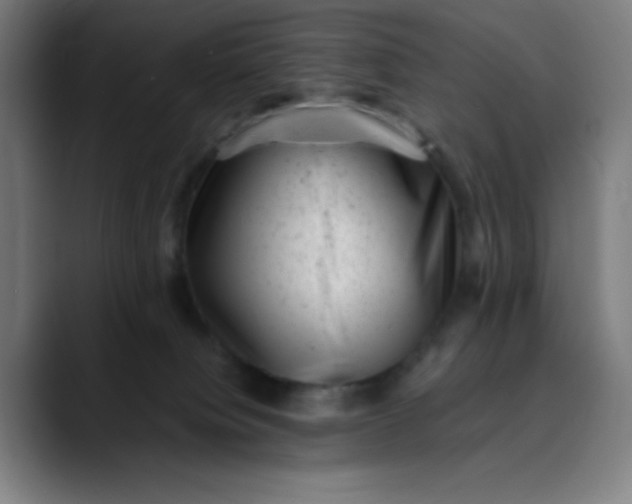 X0000089710084200707121420