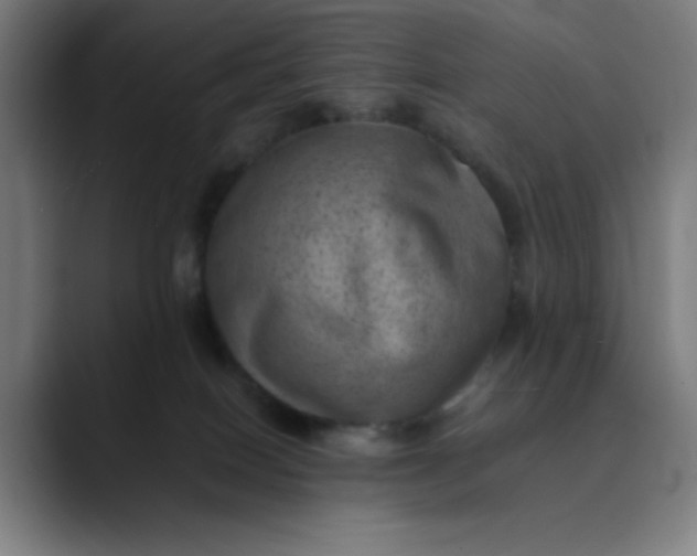 X0000089710086200707121420