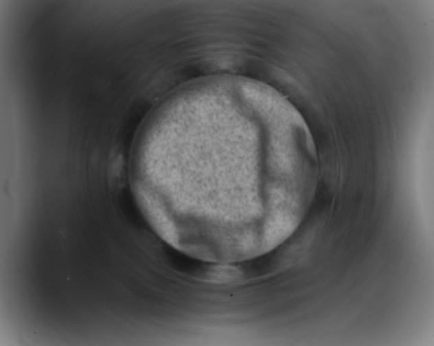 X0000089710087200707121420