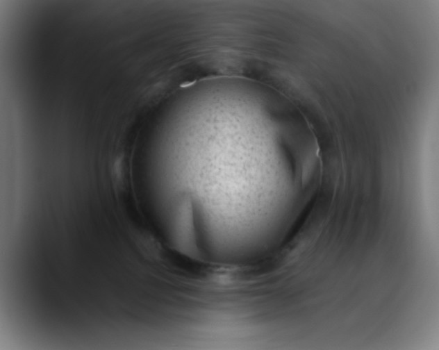 X0000089710088200707121420