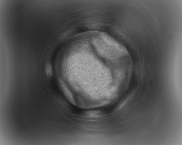 X0000089710089200707121420