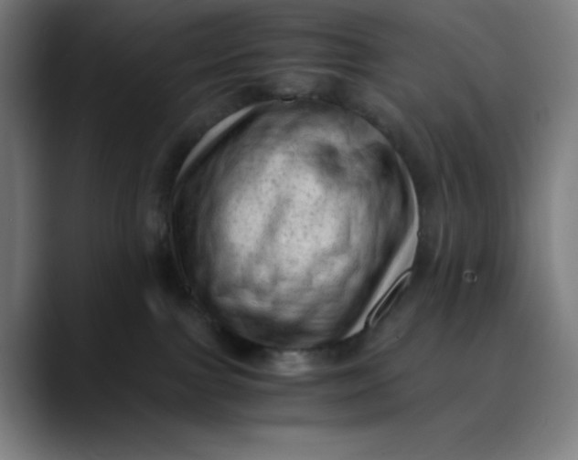 X0000089710091200707121420