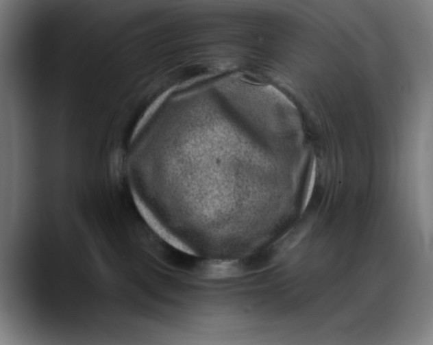 X0000089710093200707121420