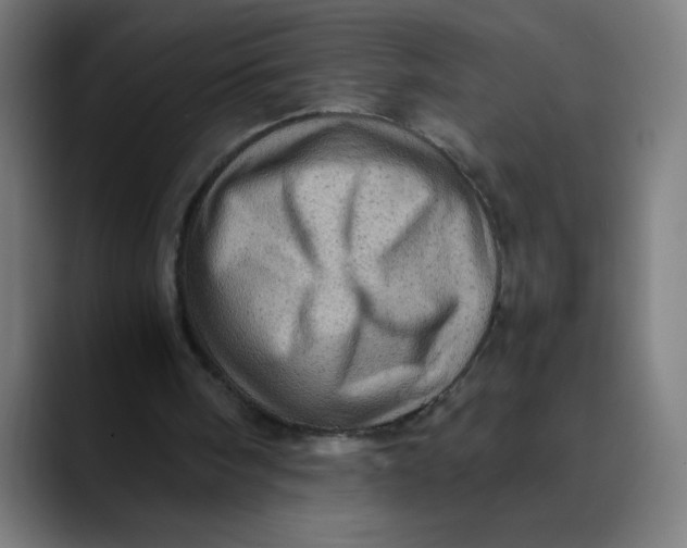 X0000089710098200707121420