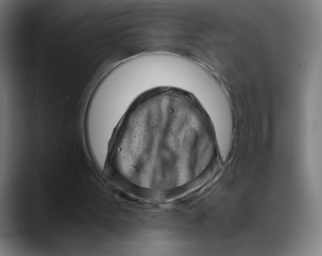 X0000089710099200707121420